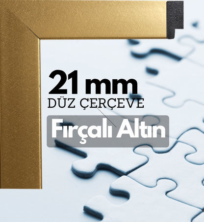 21 mm Çerçeve - FIRÇALI ALTIN