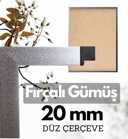 20 mm Çerçeve - FIRÇALI GÜMÜŞ