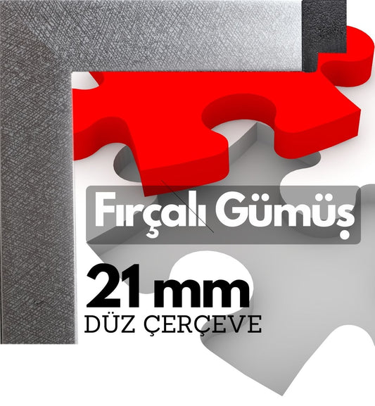 21 mm Çerçeve - FIRÇALI GÜMÜŞ